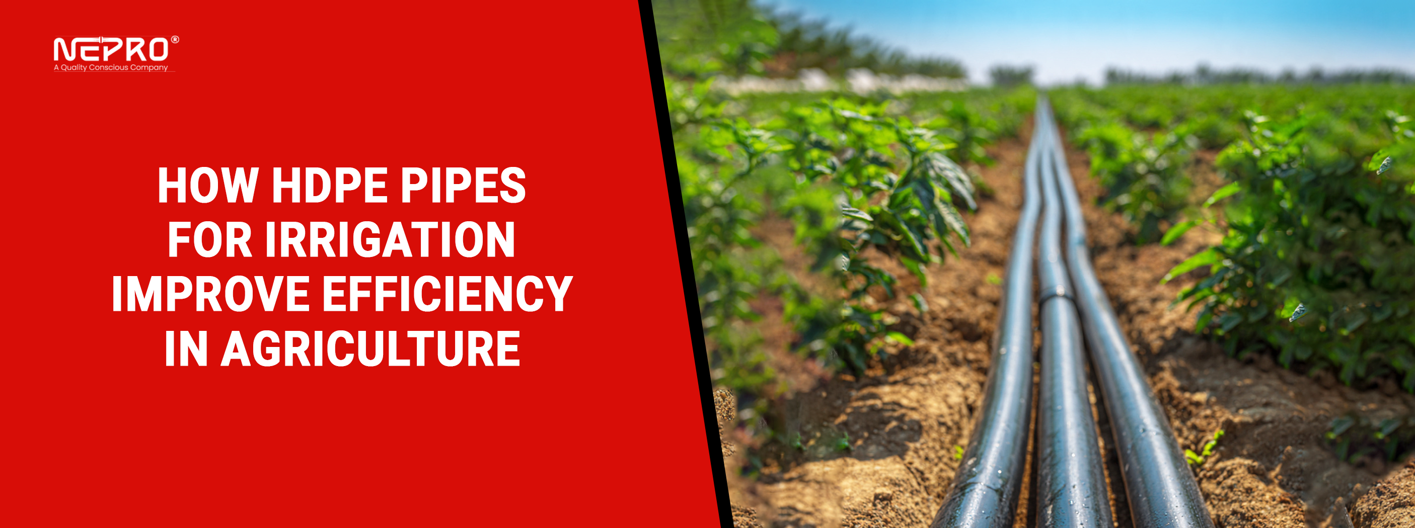How HDPE Pipes for Irrigation Improve Efficiency in Agriculture